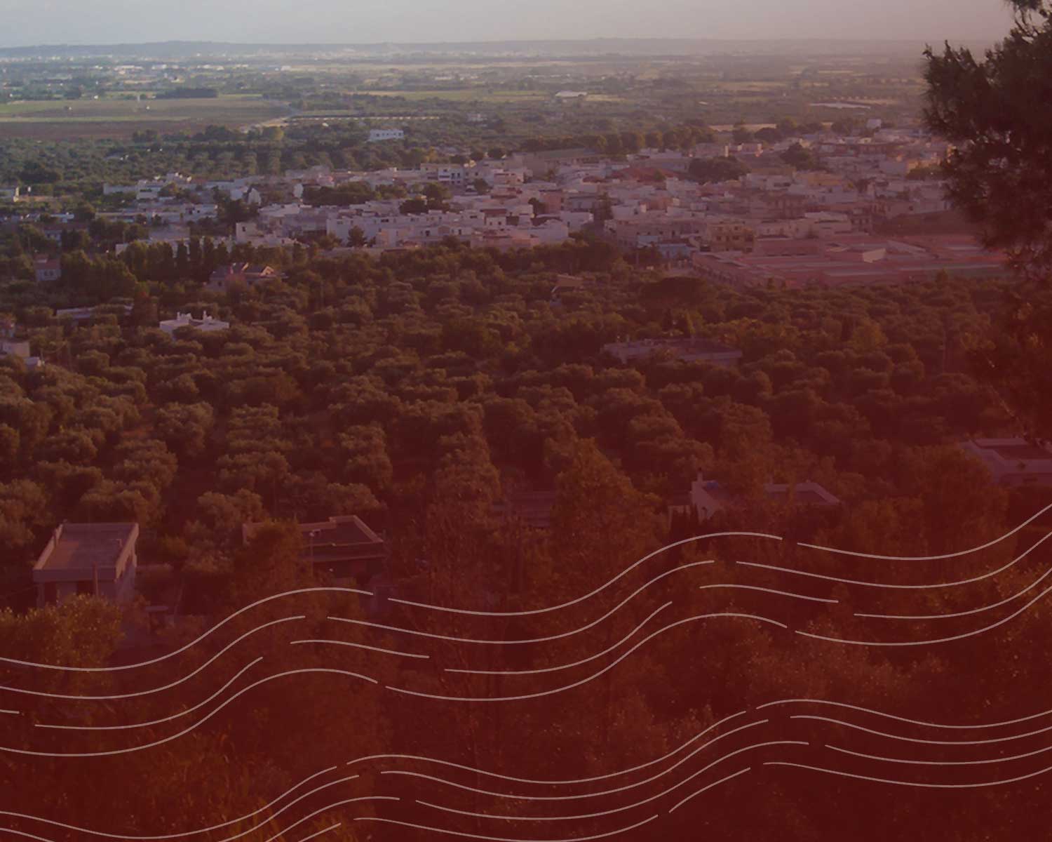 Nota della Diocesi in merito alla Processione dei Misteri di Nota della Diocesi in merito alla Processione dei Misteri di Casarano