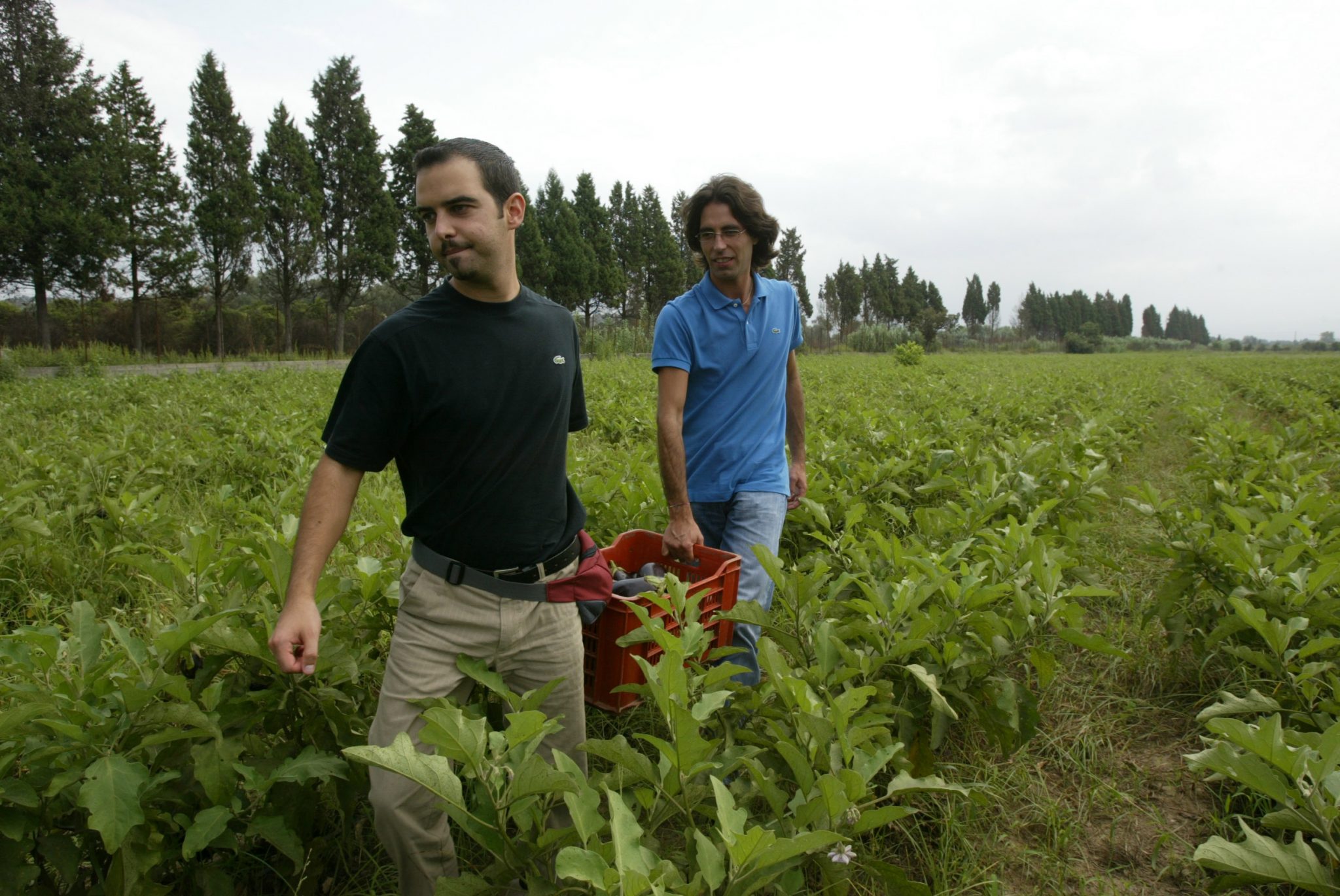 Il 12 novembre si celebra la 73° Giornata del Ringraziamento Il 12 novembre si celebra la 73° Giornata del Ringraziamento