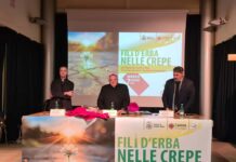 “Fili d’erba nelle crepe”: il convegno Caritas “Fili d’erba nelle crepe”: il convegno Caritas