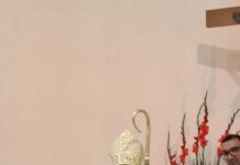 Mons. Vescovo celebra le cresime nella parrocchia di S. Francesco Antonio Fasani a Lucera Mons. Vescovo celebra le cresime nella parrocchia di S. Francesco Antonio Fasani a Lucera