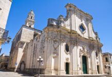 Run&Walk for Mary Run&Walk for Mary