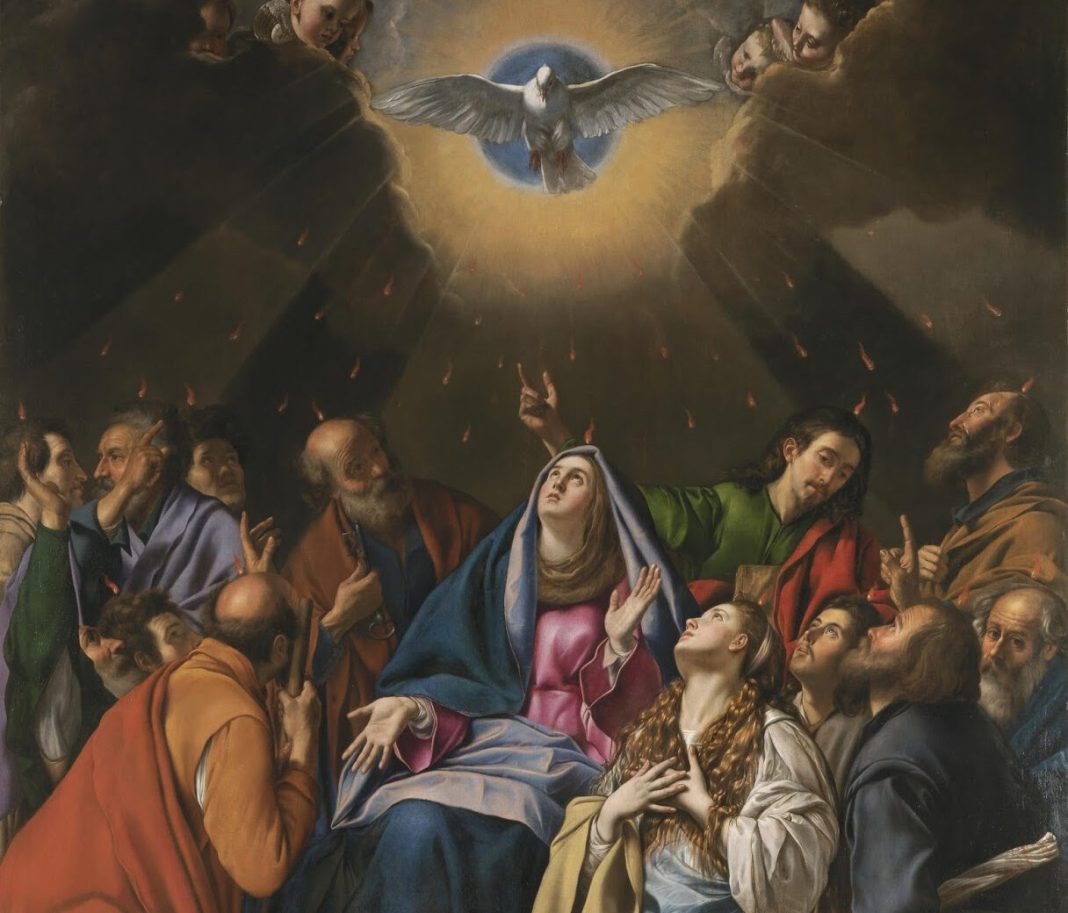 Diocesi di San Severo » parola alla Parola – DOMENICA 24/05/2026