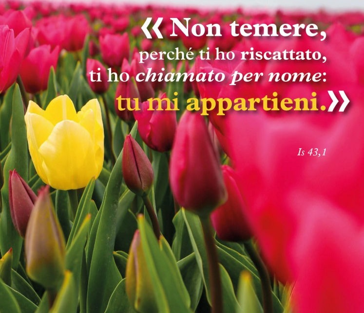 tu mi appartieni” (Isaia 43,1) — Arcidiocesi Bari-Bitonto tu mi appartieni” (Isaia 43,1) — Arcidiocesi Bari-Bitonto
